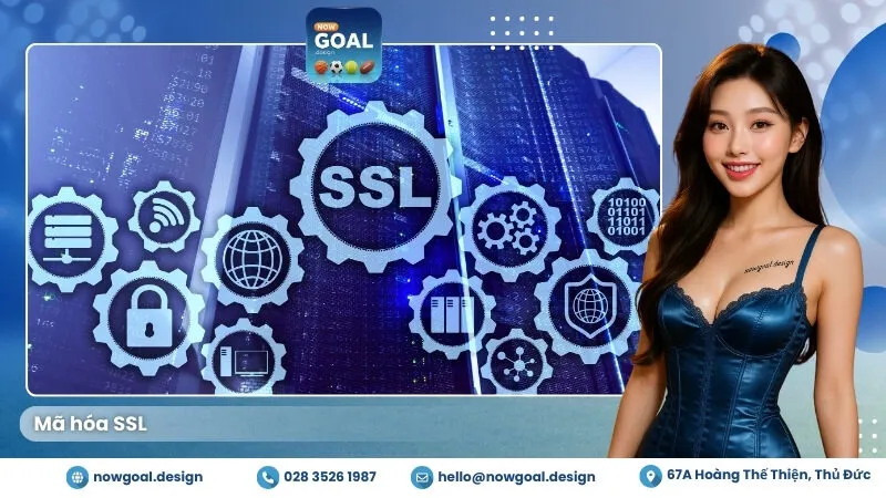 Mã hóa SSL